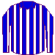 Blue/White shirts